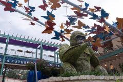 2025-05.08-02924