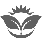 Environment Icon-Gray