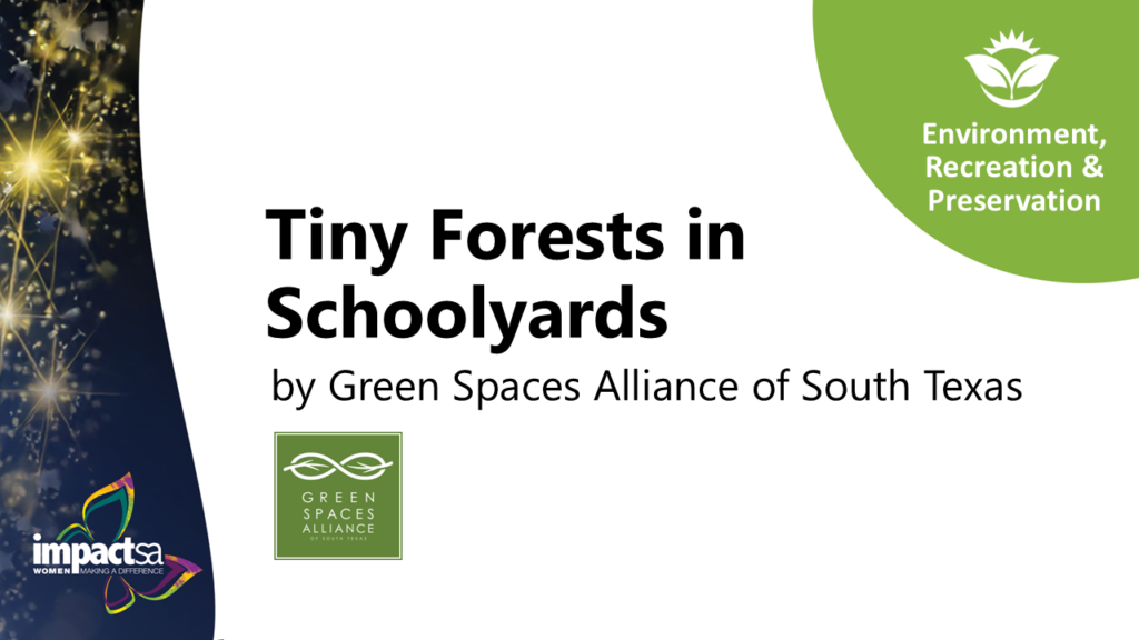 Tiny Forests in Schoolyards​